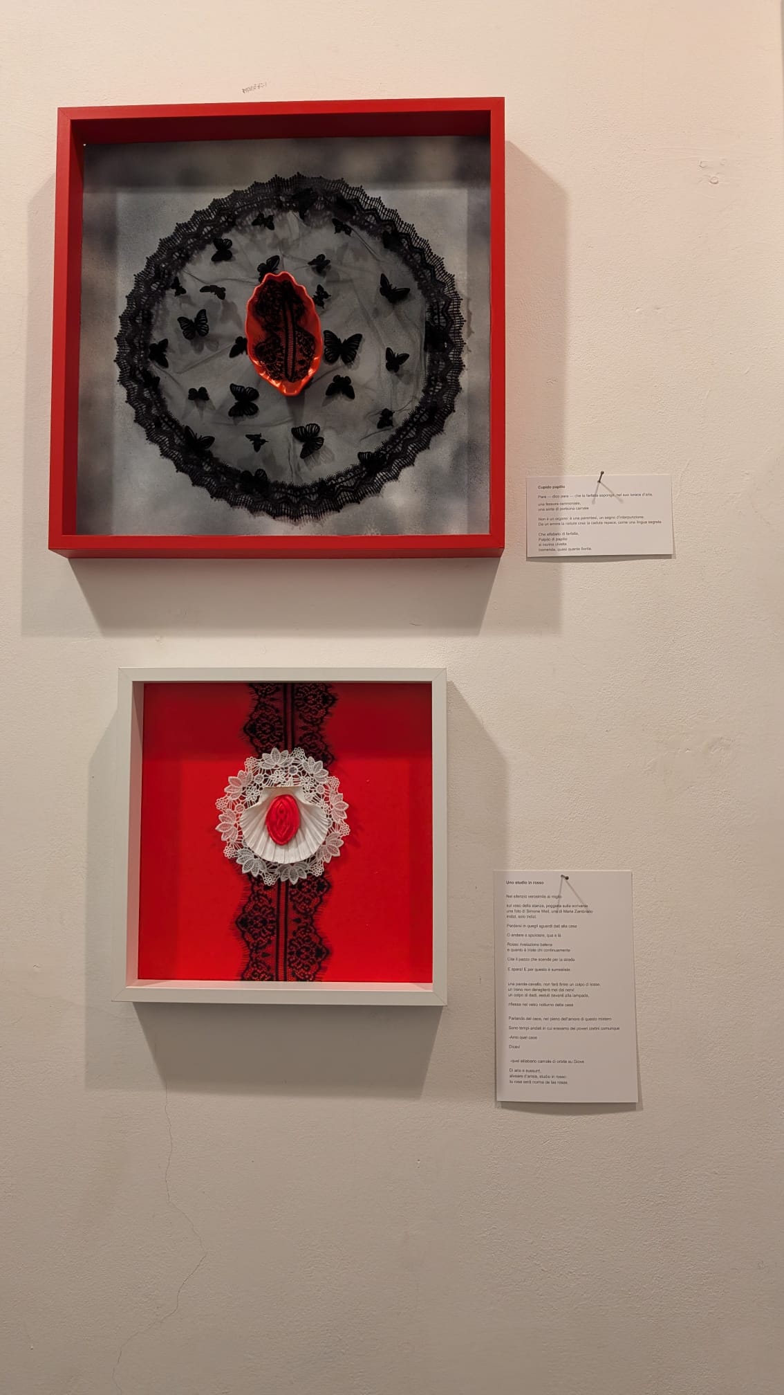 WhatsApp Image 2025-12-02 at 21.04.55.jpeg